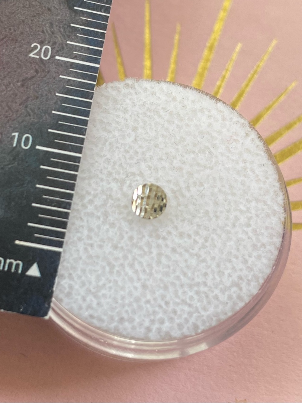 Norvoch white gold diamond cut disk threadless press fit piercing jewelry